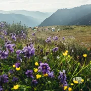 Алтай. К подножию Белухи поход, изображение 4