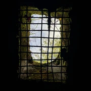 Поход по побережью Финского залива: заброшенные форты и маяки поход, изображение 1