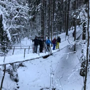 Лыжный день по сказочным местам. Однодневный выезд из Петербурга поход, изображение 4