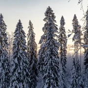 Фотограф: Георгиевская Елена