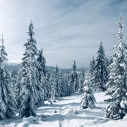 Горнолыжный тур в Домбай и Архыз. Колорит Кавказа поход, изображение 2