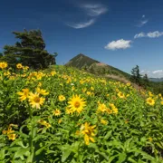 Поход по Шикотану + морской круиз на Кунашир и Итуруп поход, изображение 4