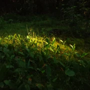 Поход  по Большой Валдайской тропе поход, изображение 4
