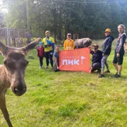 Выборгские шхеры налегке. Прогулка на морских каяках, баня и зоопарк на острове поход, изображение 3