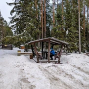 Лыжная прогулка по Линдуловской роще. Однодневный выезд из Петербурга поход, изображение 3