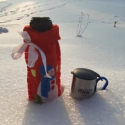 Деревенский Новый год в Подмосковье. К лошадкам на снегоступах (0+) поход, изображение 2