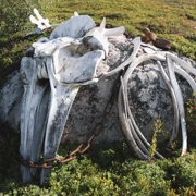 Полуостров Средний и Рыбачий. Поход вдоль Баренцева моря поход, изображение 1
