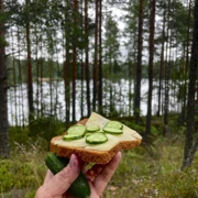 Прогулка и катание на лошадях в Токсово. Однодневный выезд из Питера поход, изображение 4