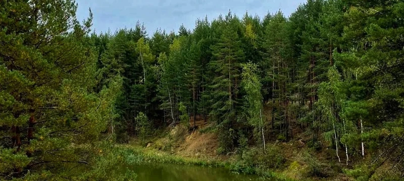 Цветные озера. Однодневный поход в Подмосковье поход
