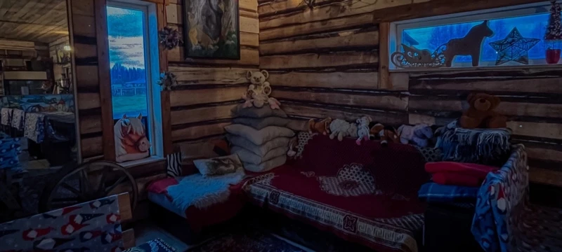 Деревенский Новый год в Подмосковье. К лошадкам на снегоступах (0+) поход